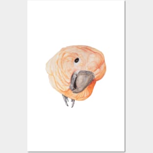 Watercolor cockatoo umbrella white pink parrot Posters and Art